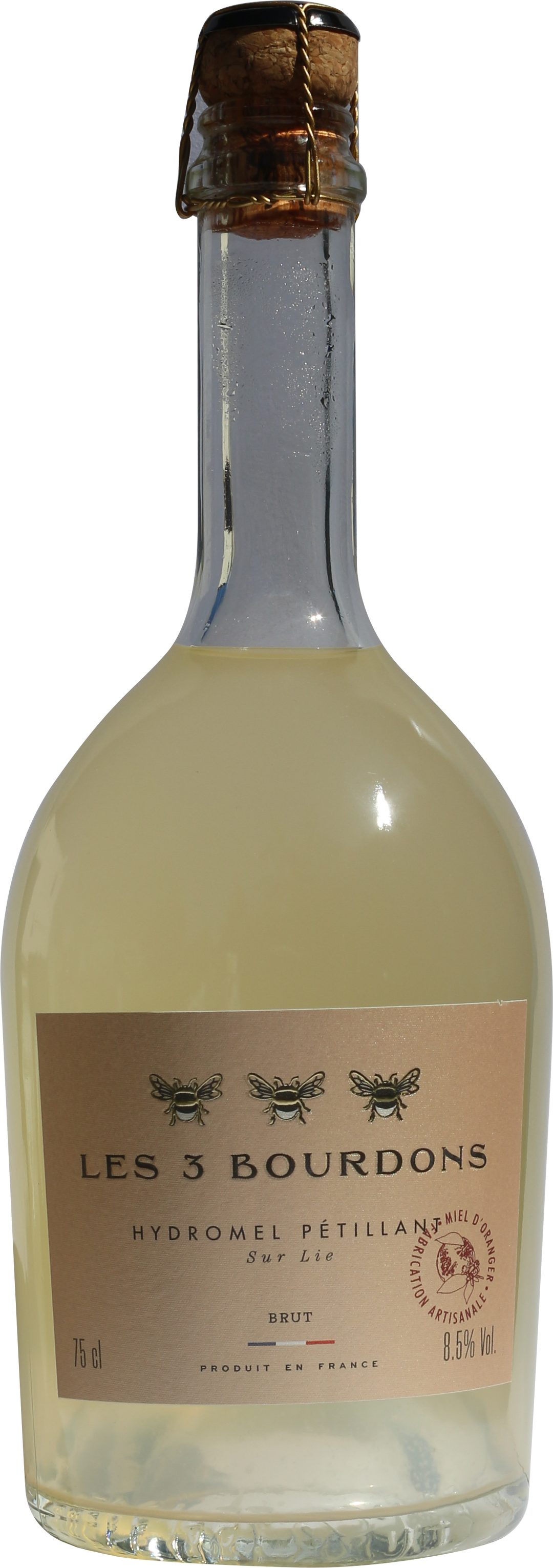 Hydromel pétillant Oranger Brut